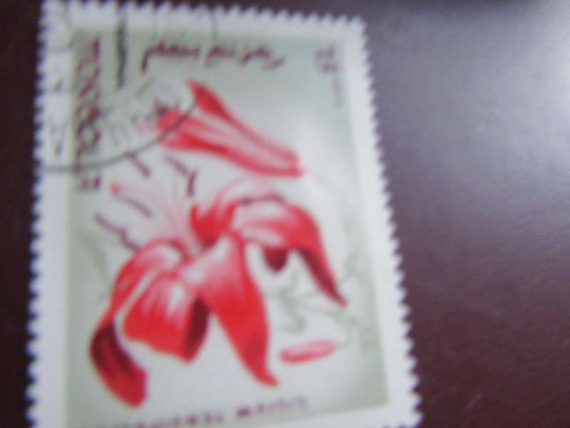 CHINA - FLOWERS - P2