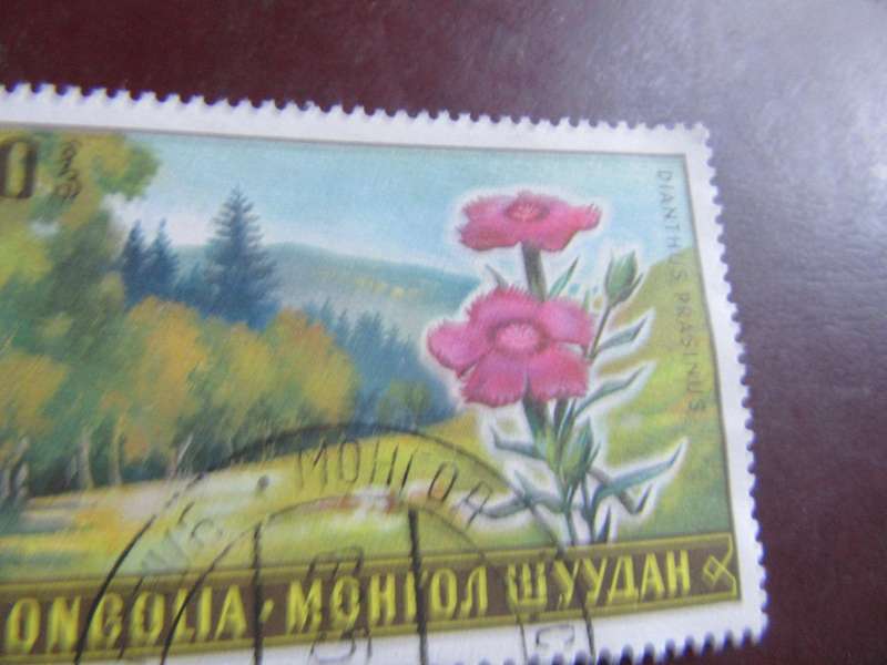 MONGOLIA - FLOERS - P3