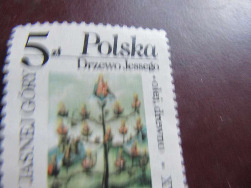 POLAND - FLOWERS - P3