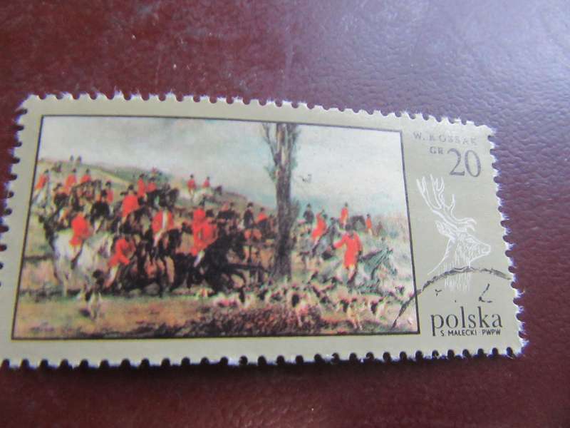 POLAND HUNTING - P5
