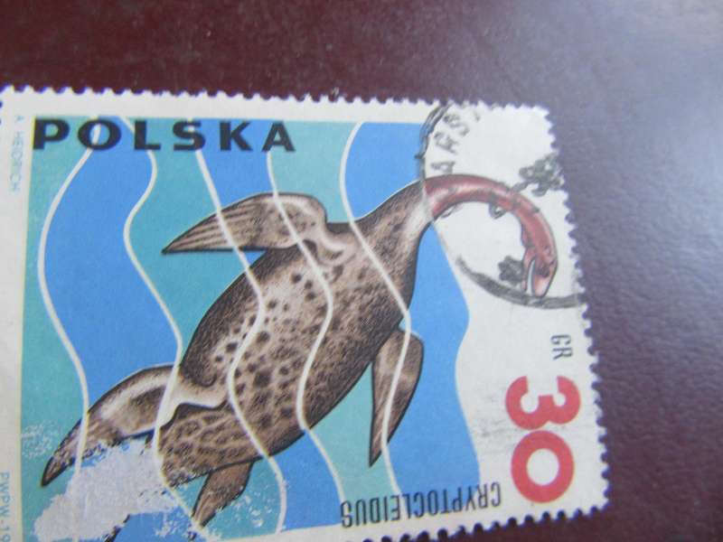 POLAND - P9