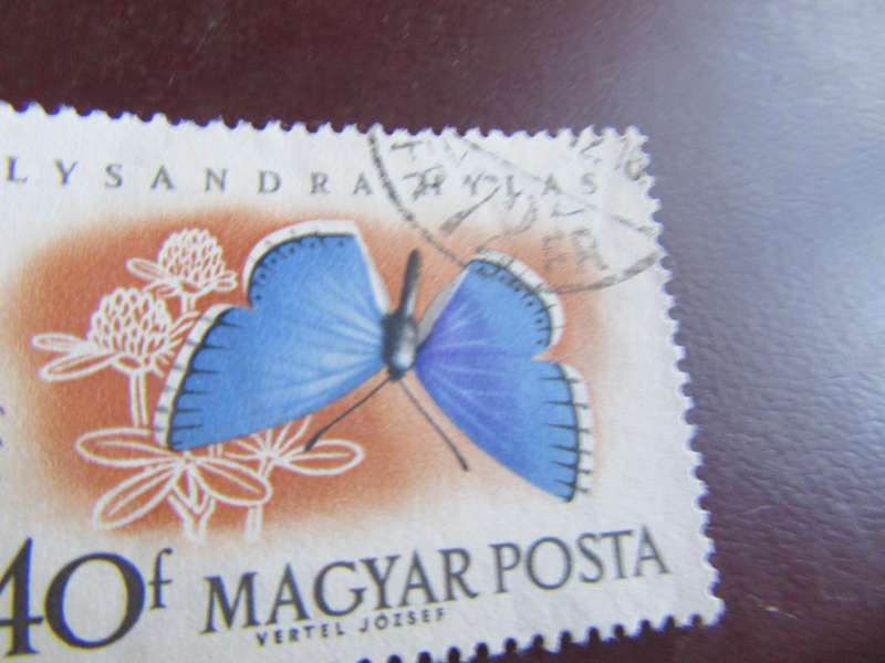 HUNGARY - BUTTERFLIES - P9