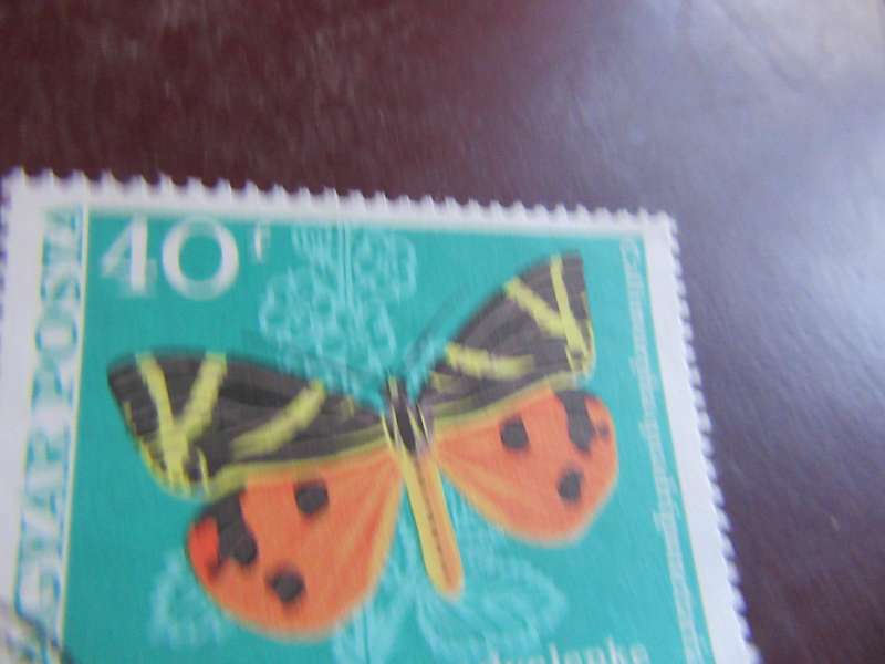HUNGARY - BUTTERFLIES - P9