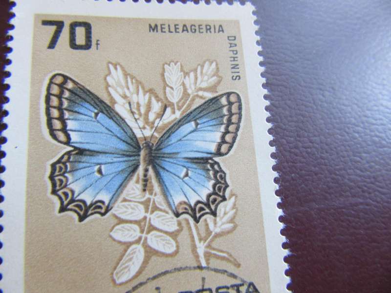 HUNGARY -BUTTERFLIES - P9