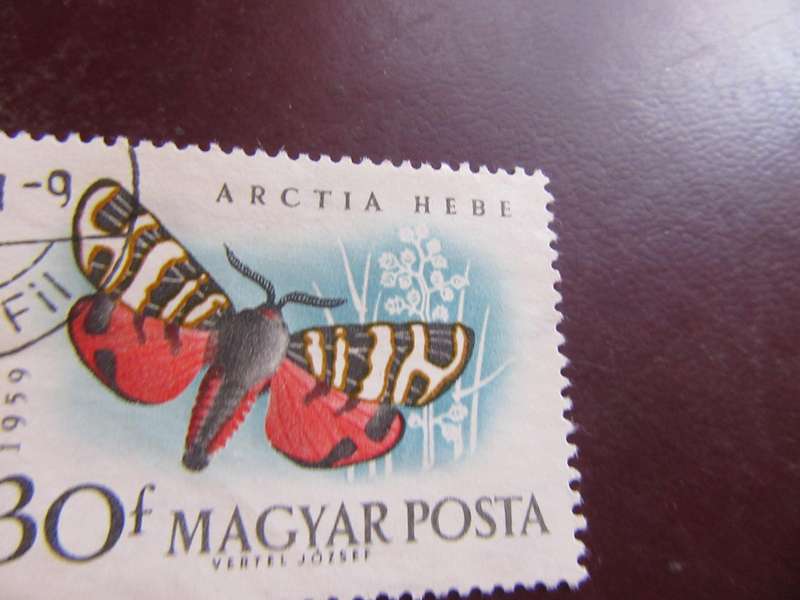 HUNGARY - BUTTERFLIES - P9