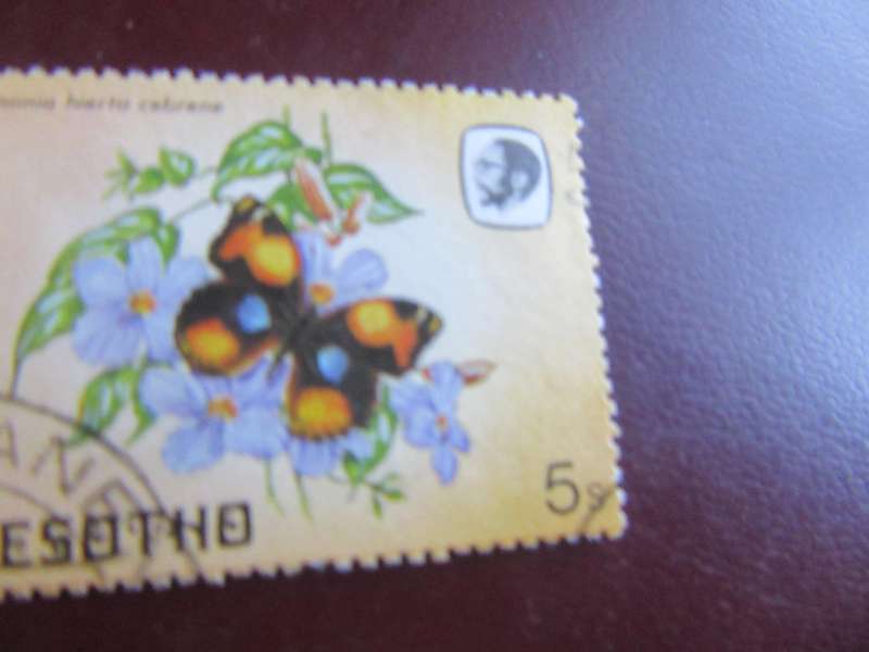 LESOTHO - BUTTERFLIES - P9