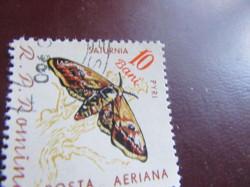 ROMANIA - BUTTERFLIES - P9