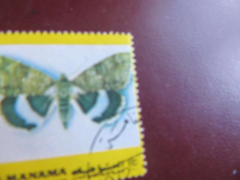 MANAMA -BUTTERFLIES - P9