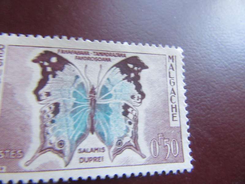 MADAGASCAR - BUTTERFLIES - P9