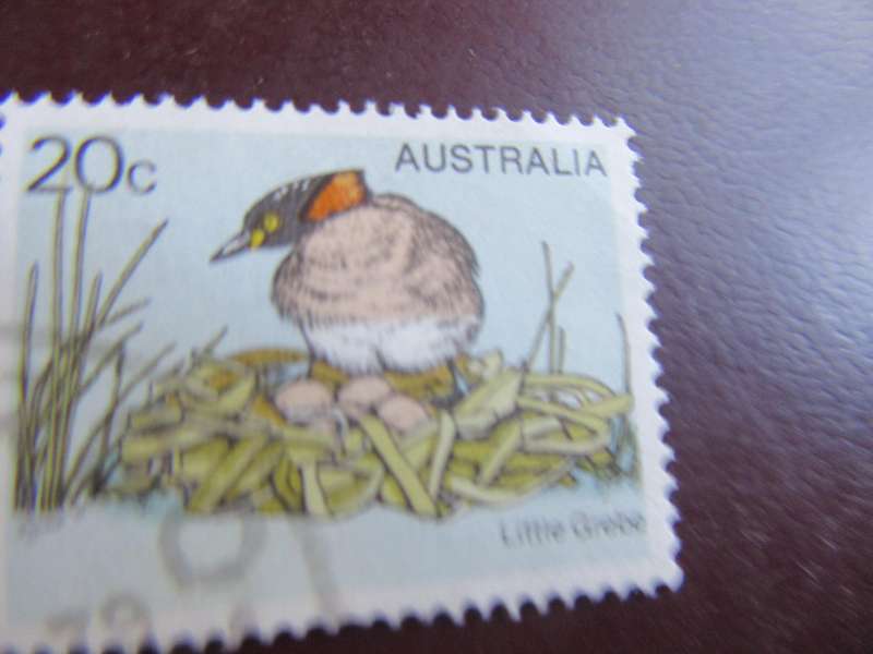 AUSTRALIA - BIRDS - P9