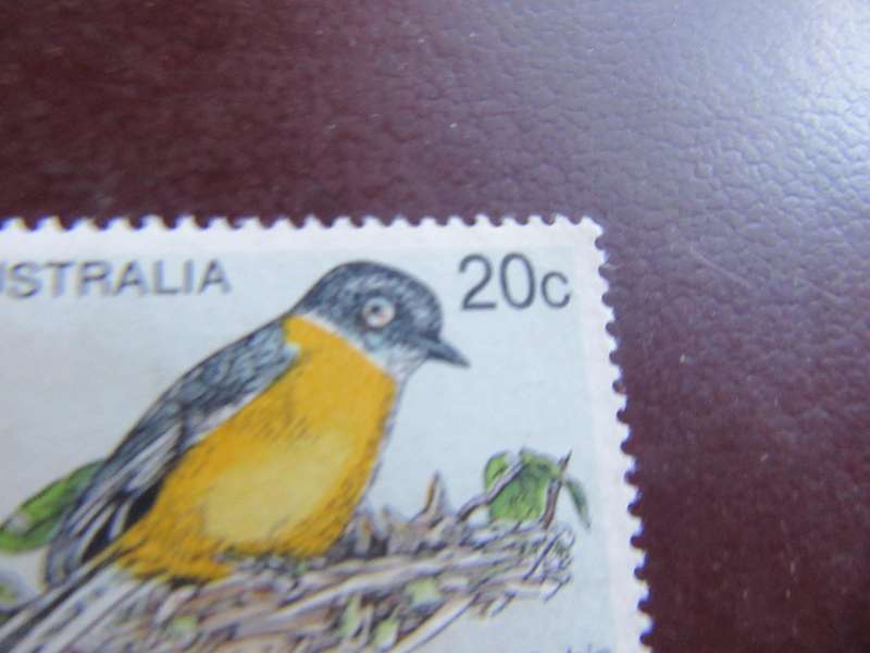 AUSTRALIA - BIRDS - P9
