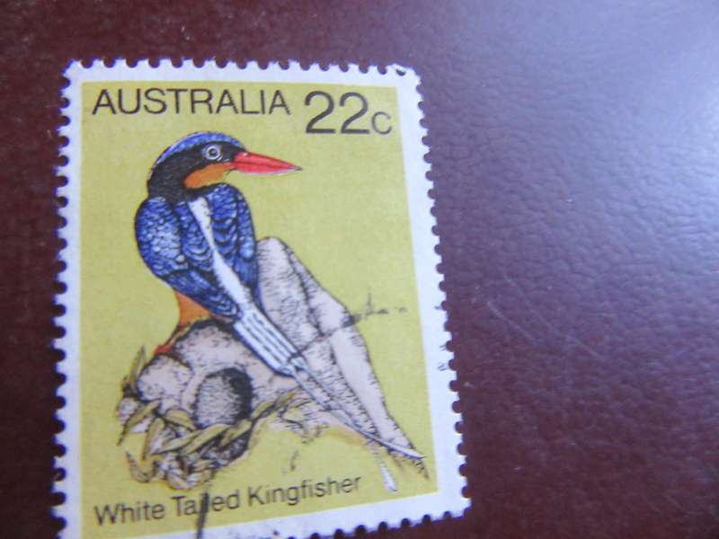 AUSTRALIA - BIRDS - P9