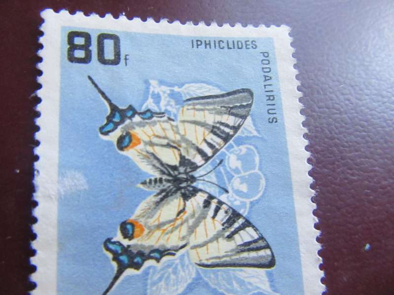HUNGARY - BUTTERFLIES - P9