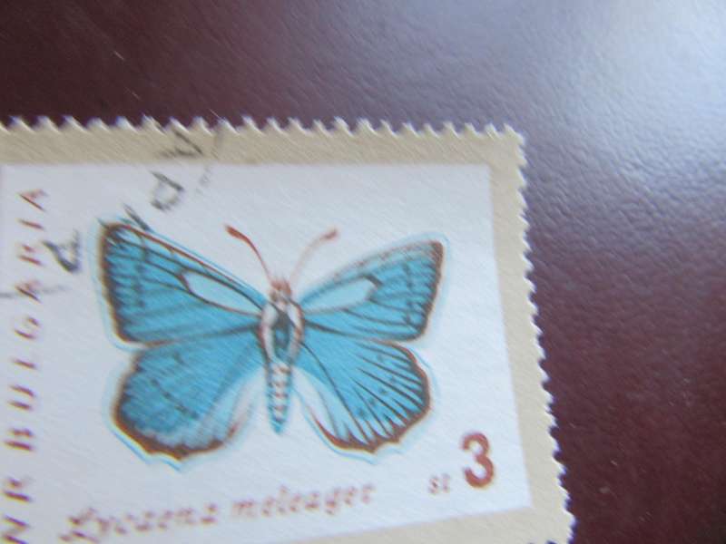 BULGARIA - BUTTERFLIES - P9