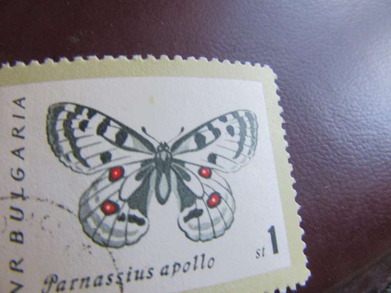 BULGARIA- BUTTERFLIES - P9