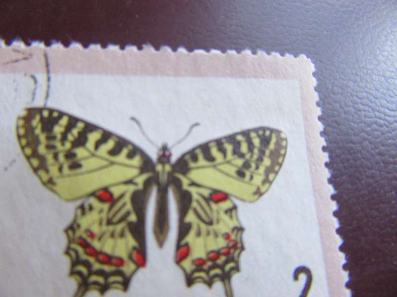 BULGARIA - BUTTERFLIES - P9
