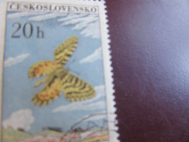 CZECHOSLOVAKIA- BUTTERFLIES - P9