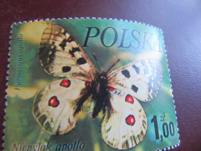POLAND - BUTTERFLIES - P9