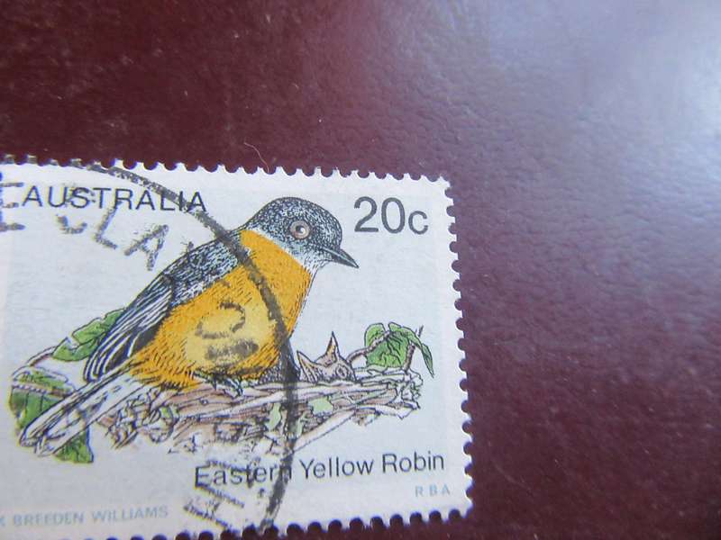 AUSTRALIA- BIRDS - P9