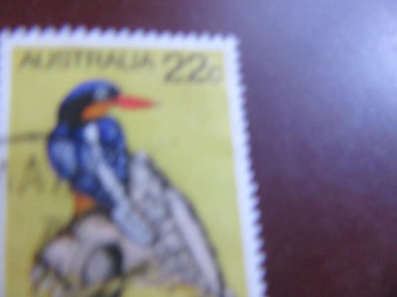 AUSTRALIA - BIRDS - P9