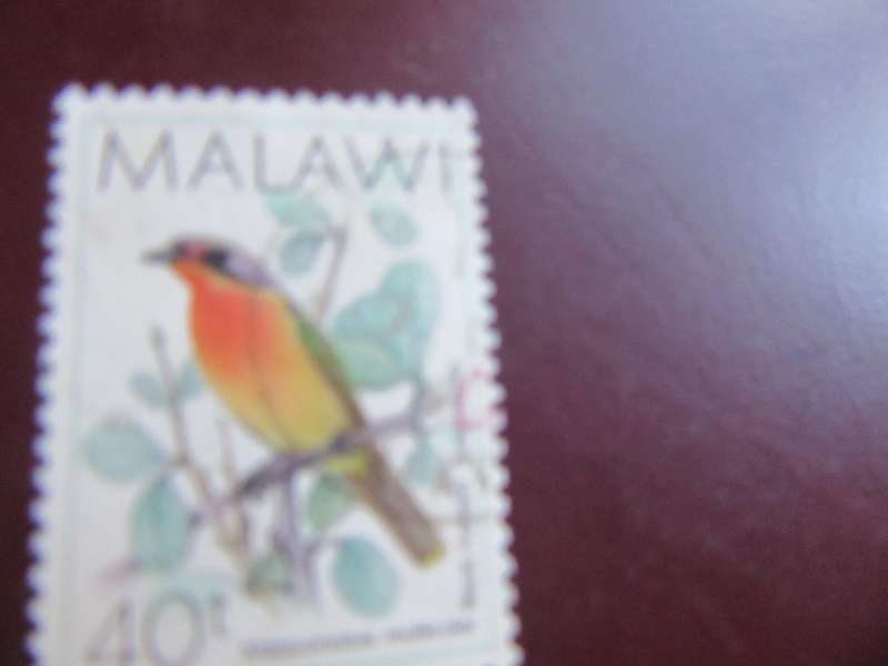 MALAWI - BIRDS - P9