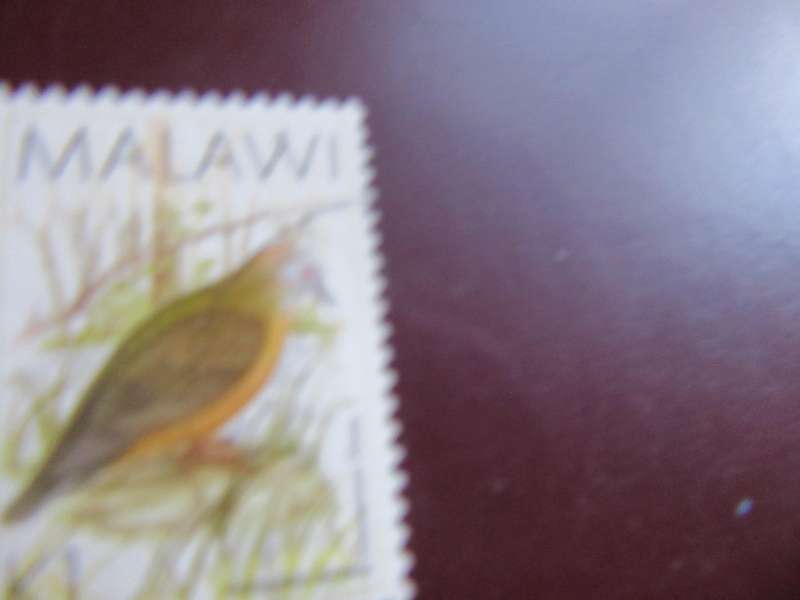 MALAWI  BIRDS - P9
