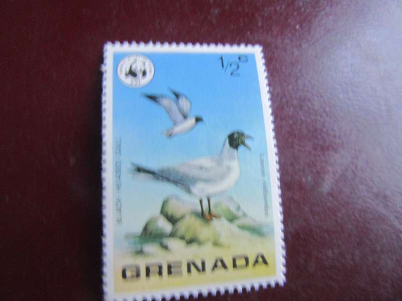 GRENADA - P13