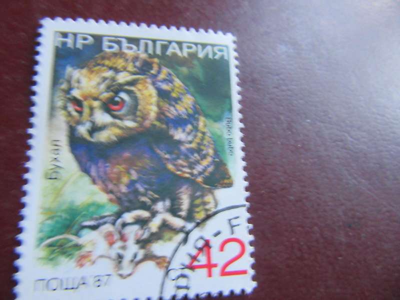 RUSSIA BIRDS-P13