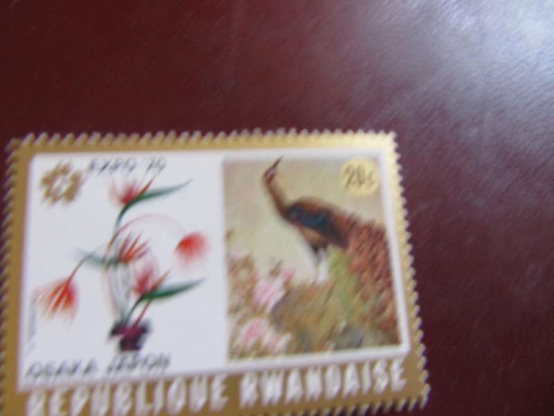RUANDA BIRDS - P14