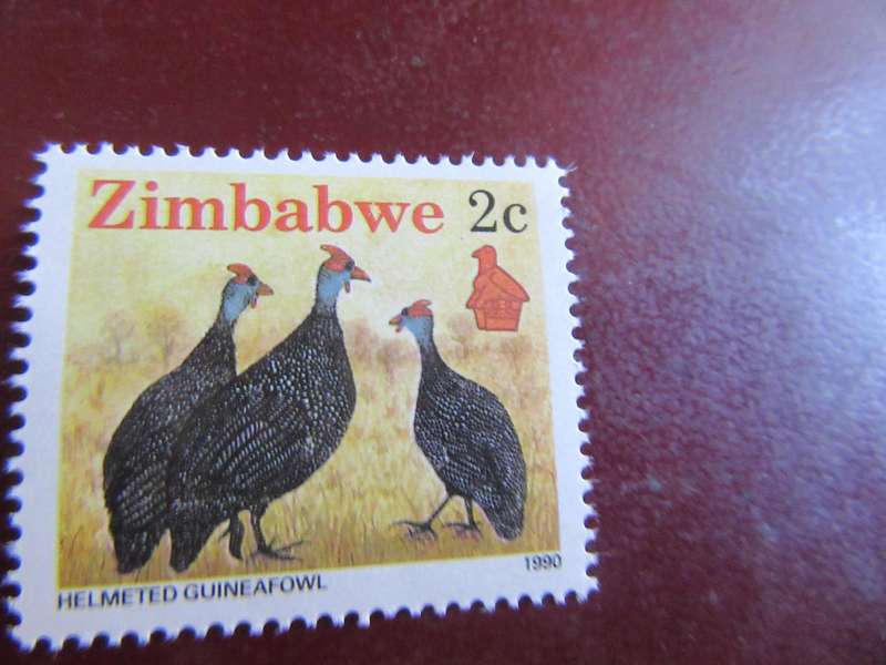 ZIMBABWE - BIRDS - P14