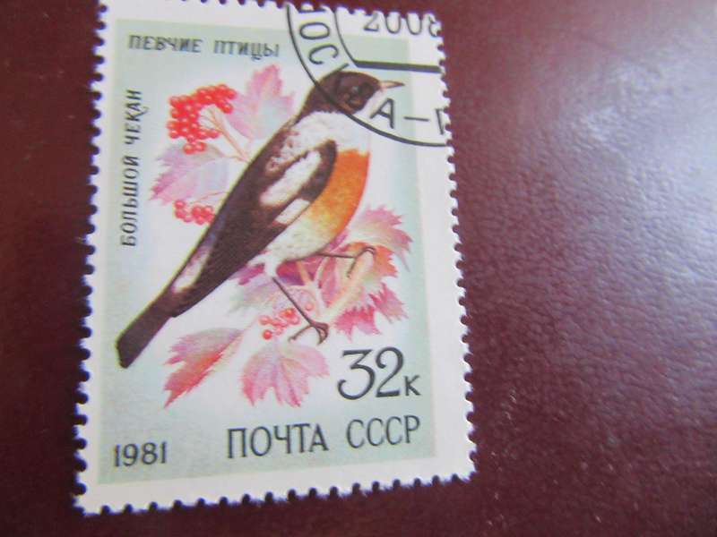 RUSSIA BIRDS - P14