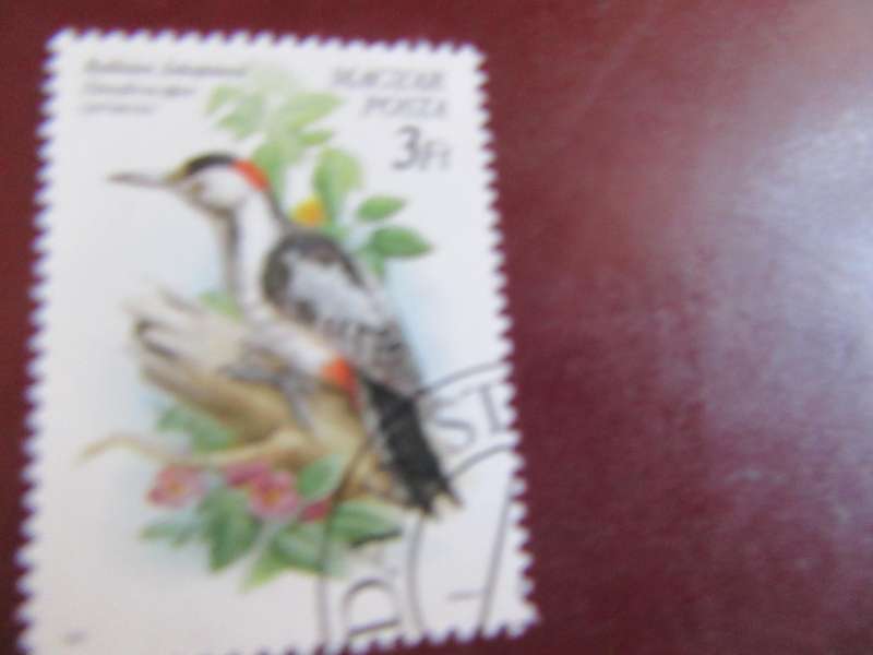 HUNGARY BIRDS - P14