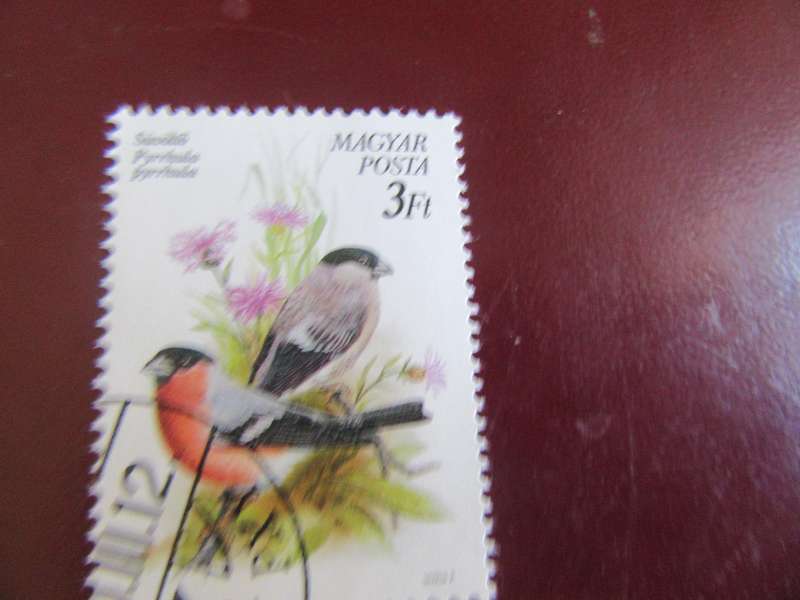 HUNGARY BIRDS - P15