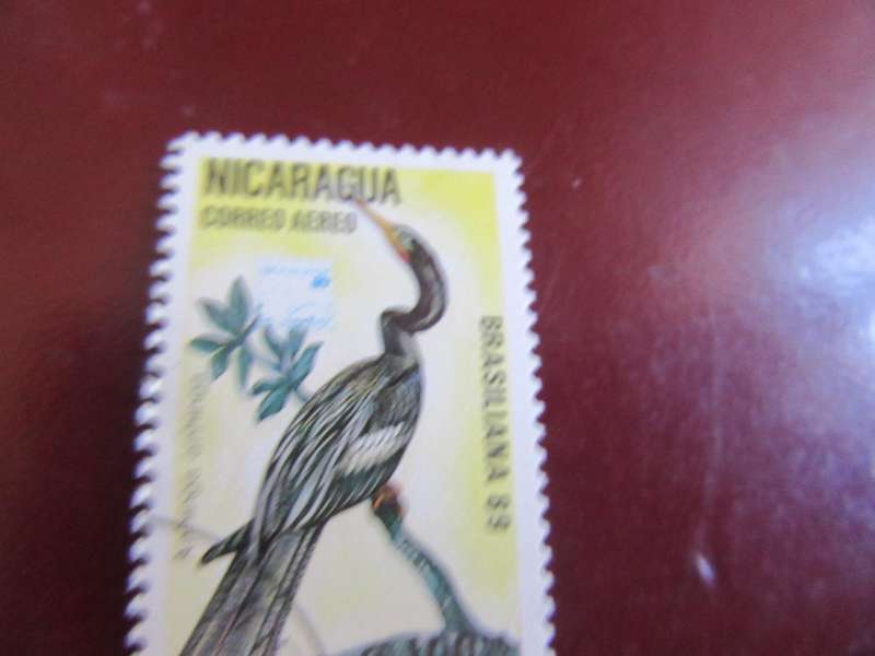 NICARAGUA BIRDS - P15