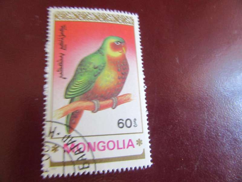 MONGOLIA BIRDS - P15