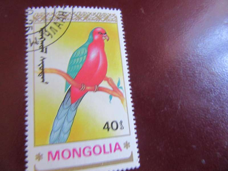 MONGOLIA BIRDS - P15