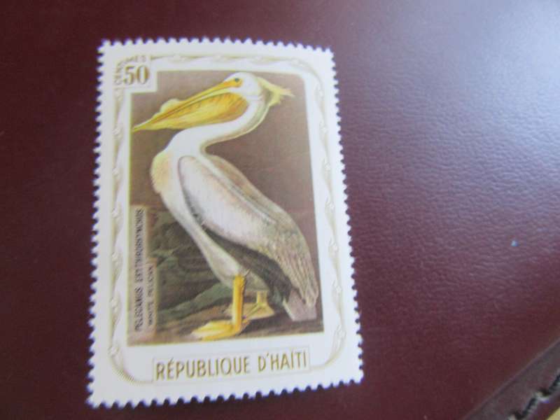 D'HAITI BIRDS - P16