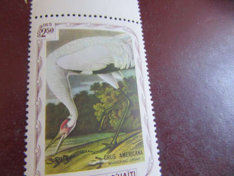 D'HAITI BIRDS - P16
