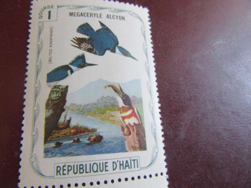 D'HAITI BIRDS - P16