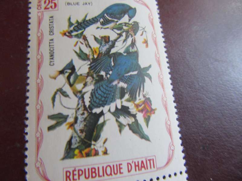 D'HAITI BIRDS - P16