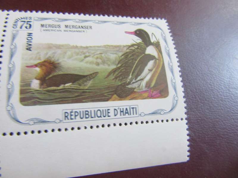 D'HAITI BIRDS - P16