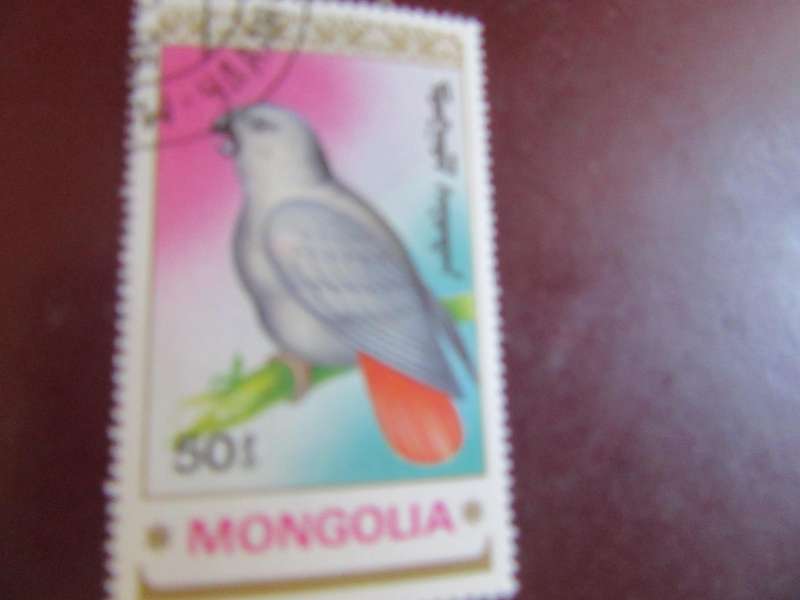 MONGOLIA BIRDS - P16
