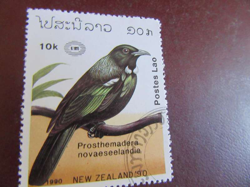 LAOS BIRDS - P16