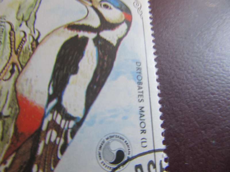 MONGOLIA BIRDS - P16