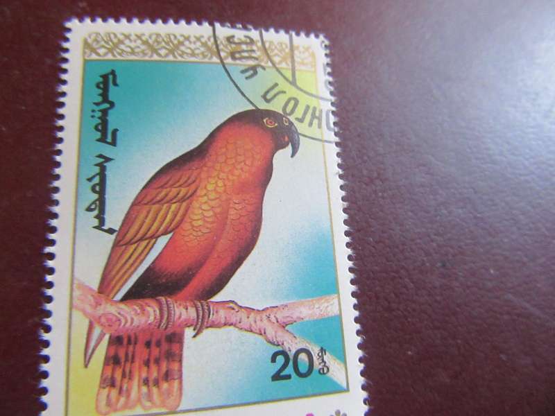 MONGOLIA BIRDS - P16