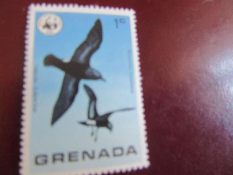 GRENADSA BIRDS  - P17