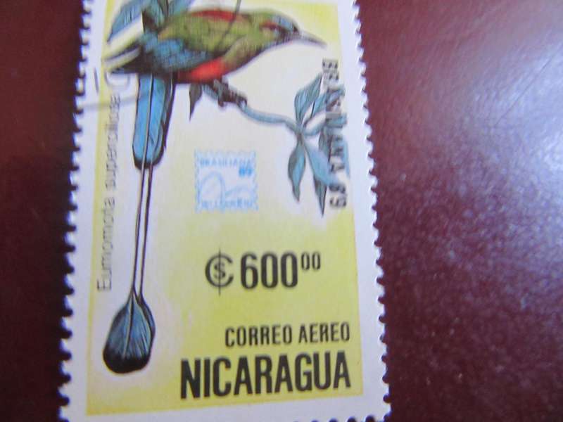 NICARAGUA - BIRDS - P17