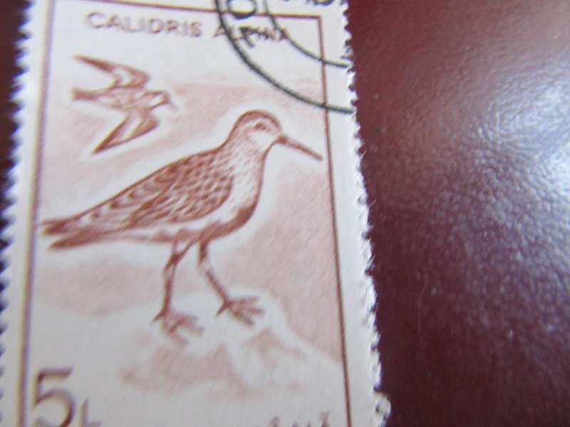 BULGARIA BIRDS - P17