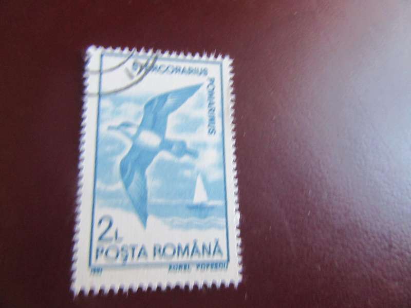 ROMANIA BIRDS - P18