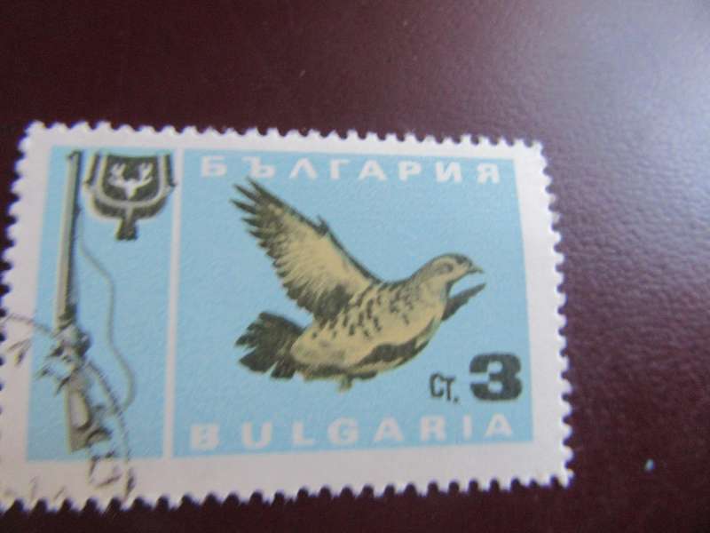 BULGARIA BIRDS- P18